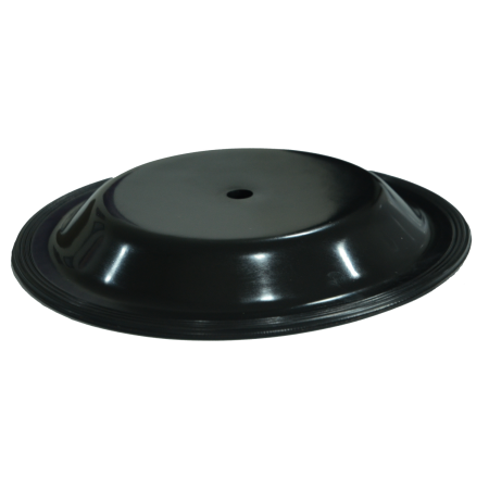 Diaphgram